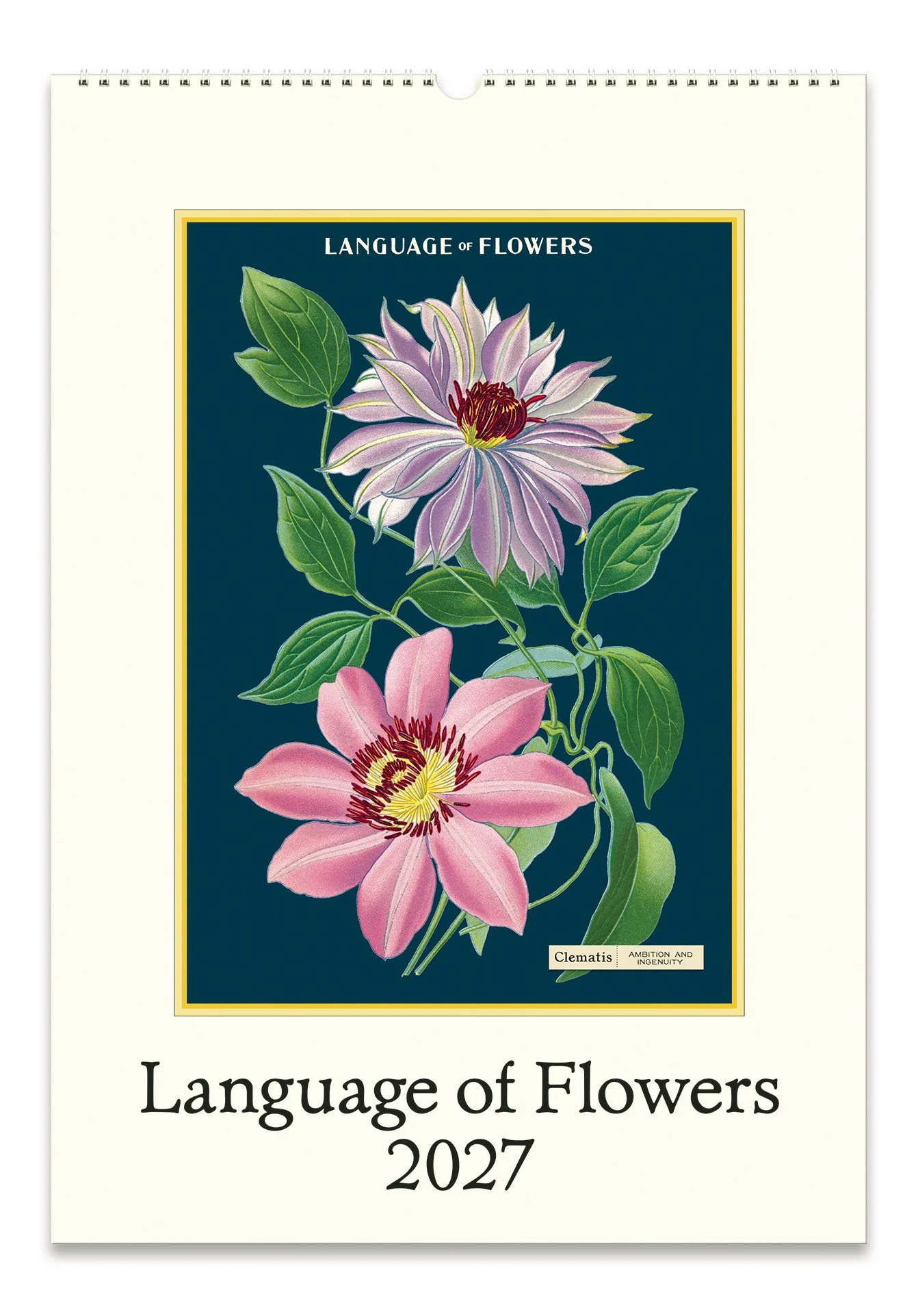 CAL27_36_LanguageOfFlowers_Wall.jpg