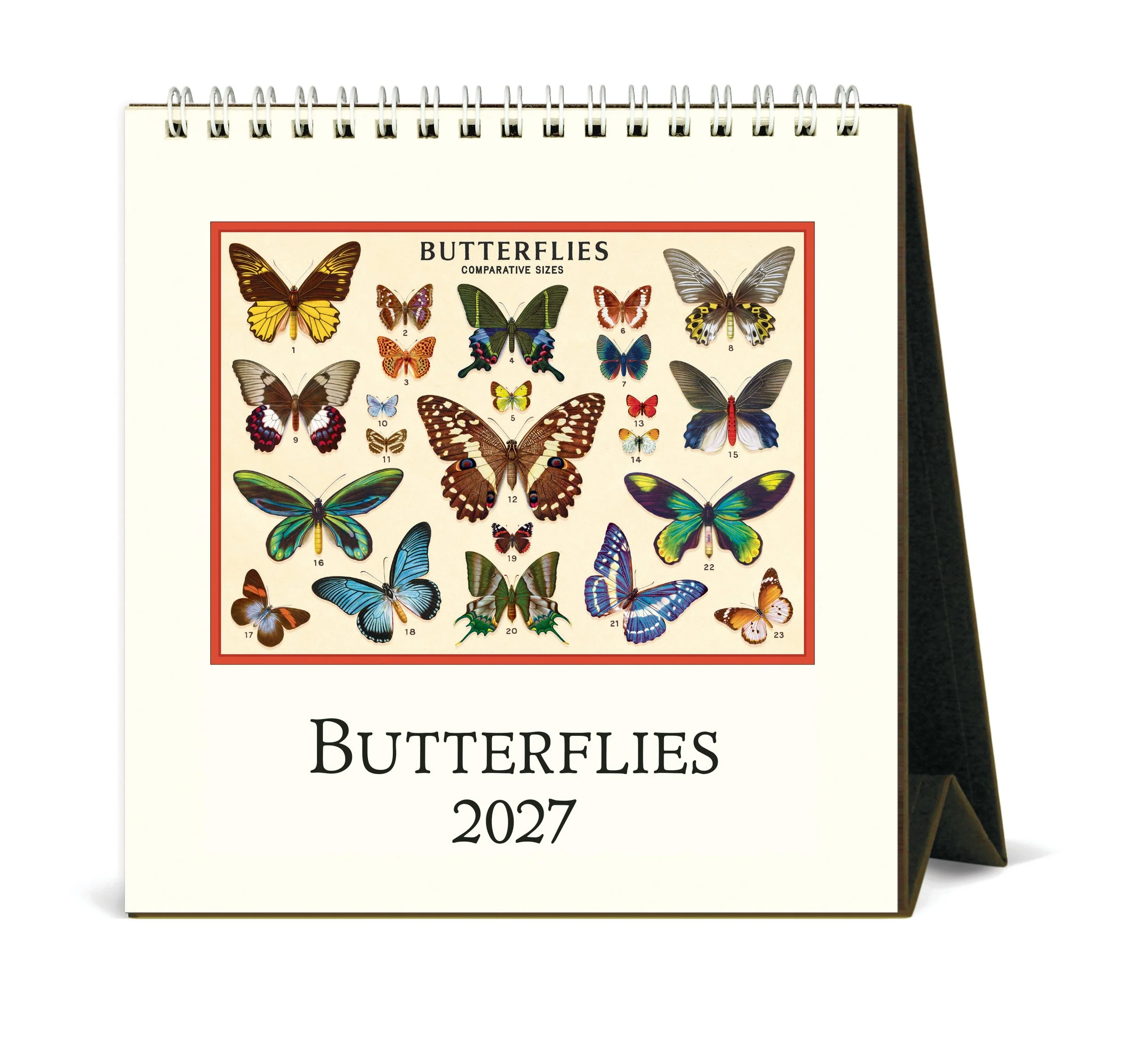 CAL27_17_Butterflies_Desk.jpg