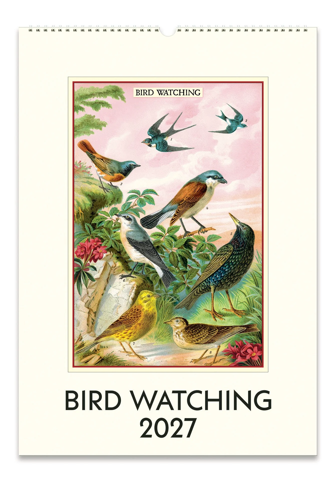 CAL27_31_BirdWatching_Wall.jpg
