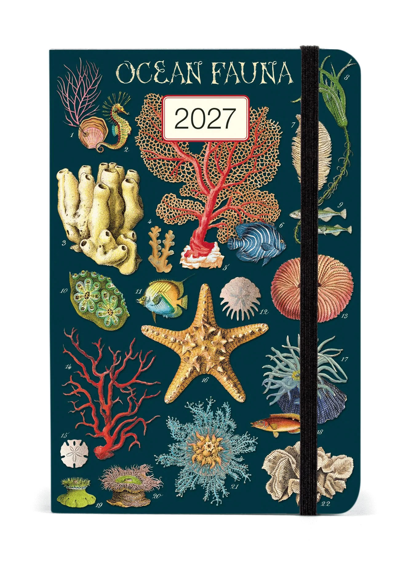 AG2027_OCN.jpg