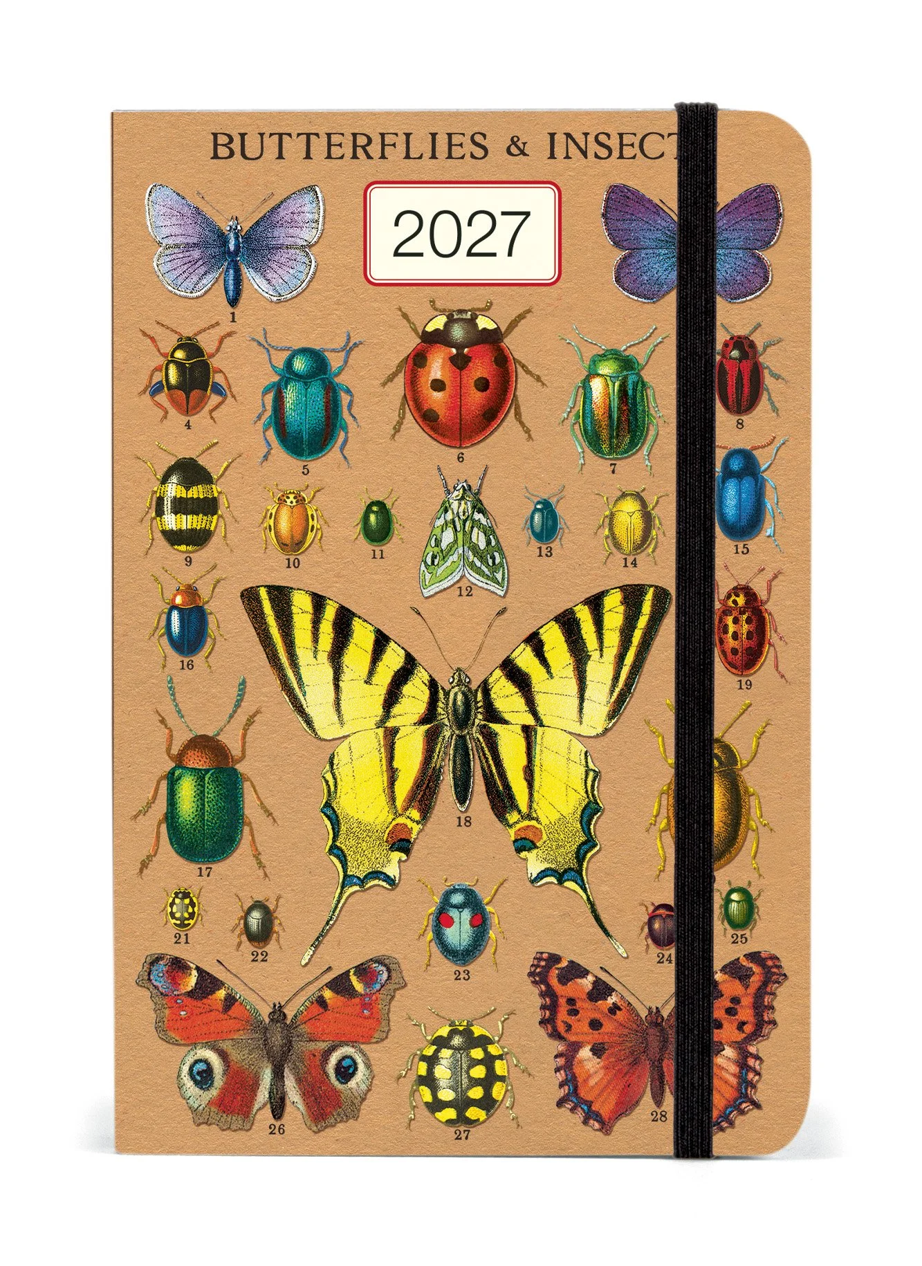 AG2027_ENT.jpg