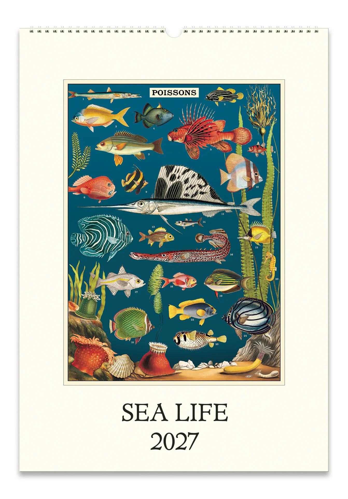 CAL27_32_SeaLife_Wall.jpg
