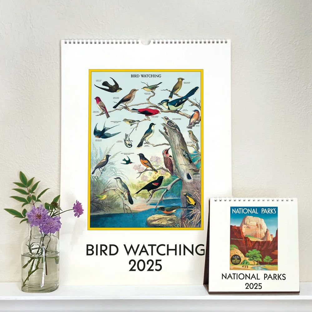 Cavallini Papers & Co.