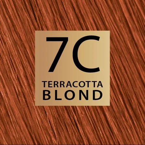 Autumn tones, but make it effortless 🍂✨

Warm up your look with 7C Terracotta Blond&mdash;rich, radiant colour inspired by the season.

Soft shine, natural care, and that perfect autumn glow 🌿

#ColorSoin #AutumnHair #TerracottaBlond #HairColour #N