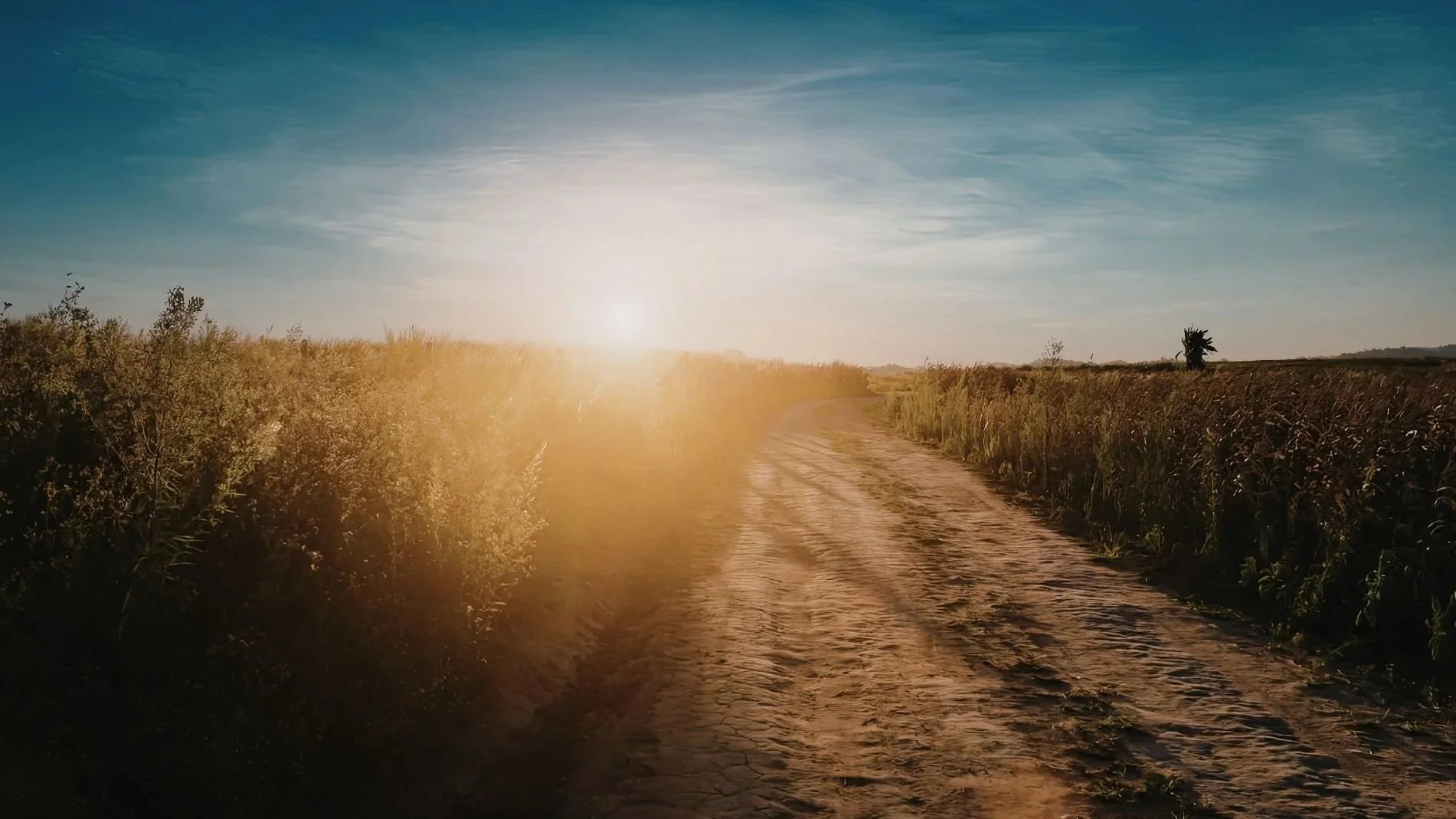 Eyes on the Prize: Getting to your Goals in a Rural Setting 