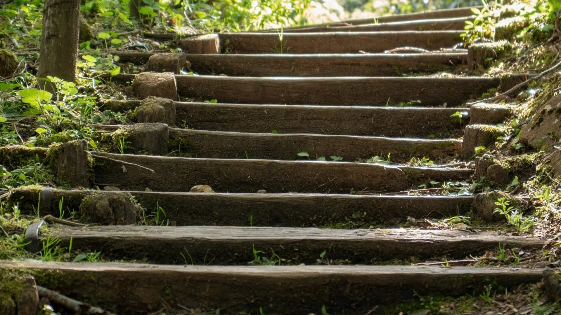 Incentivized Recovery: Best Practices in Contingency Management for Stimulant Use Disorder