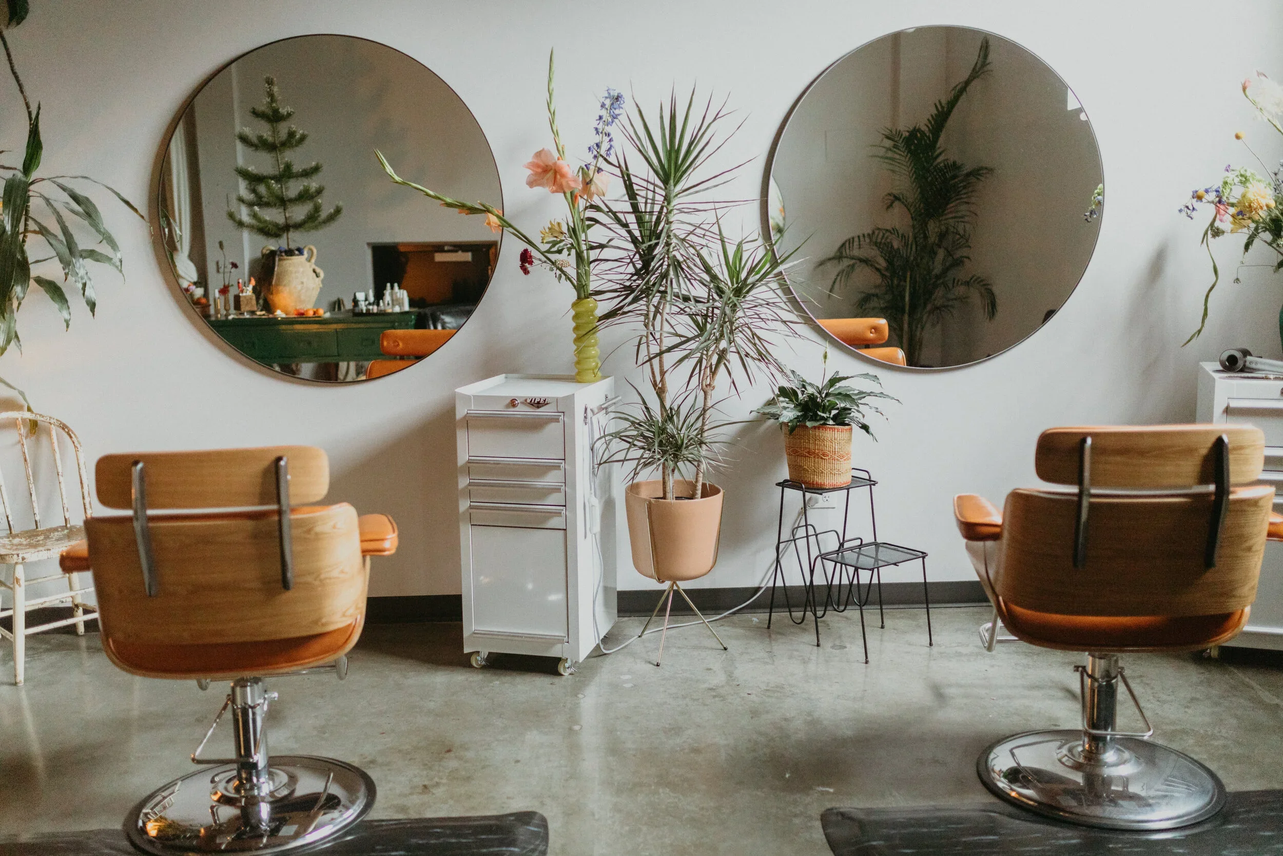 Interior of a salon with three large round mirrors on the wall, several salon chairs, and multiple potted plants including a tall one in the center and a smaller one on the right. There is a small white drawer unit and a small black table with a plan