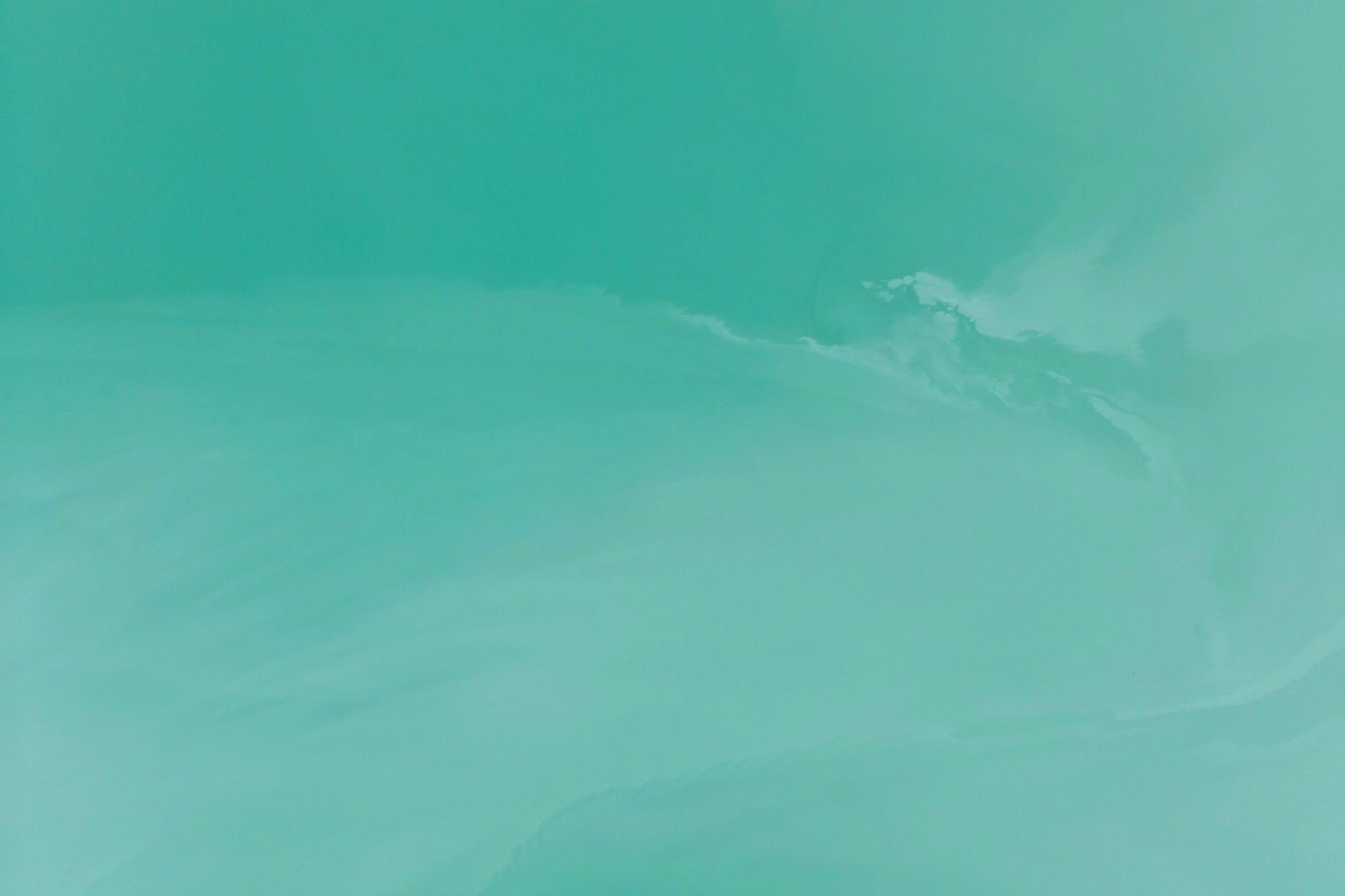 image-asset.jpg