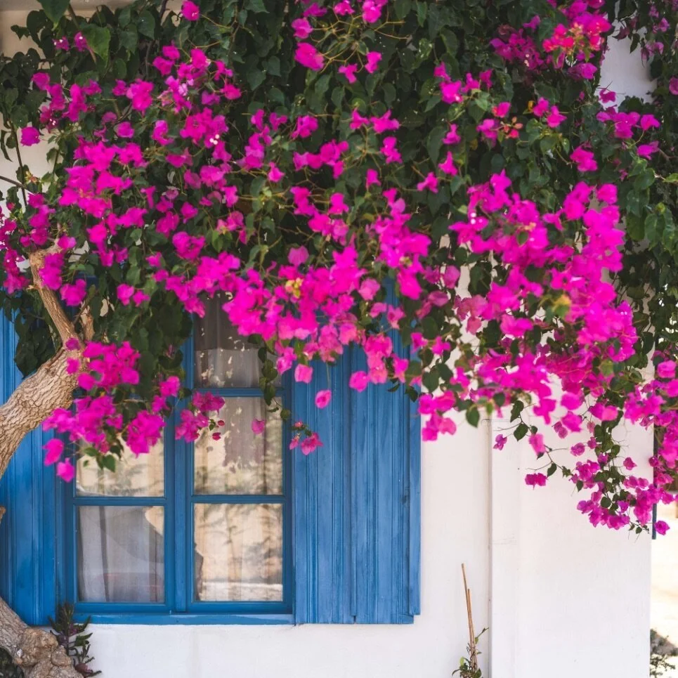 Letter I Wanted To Write To My Homebuyer 