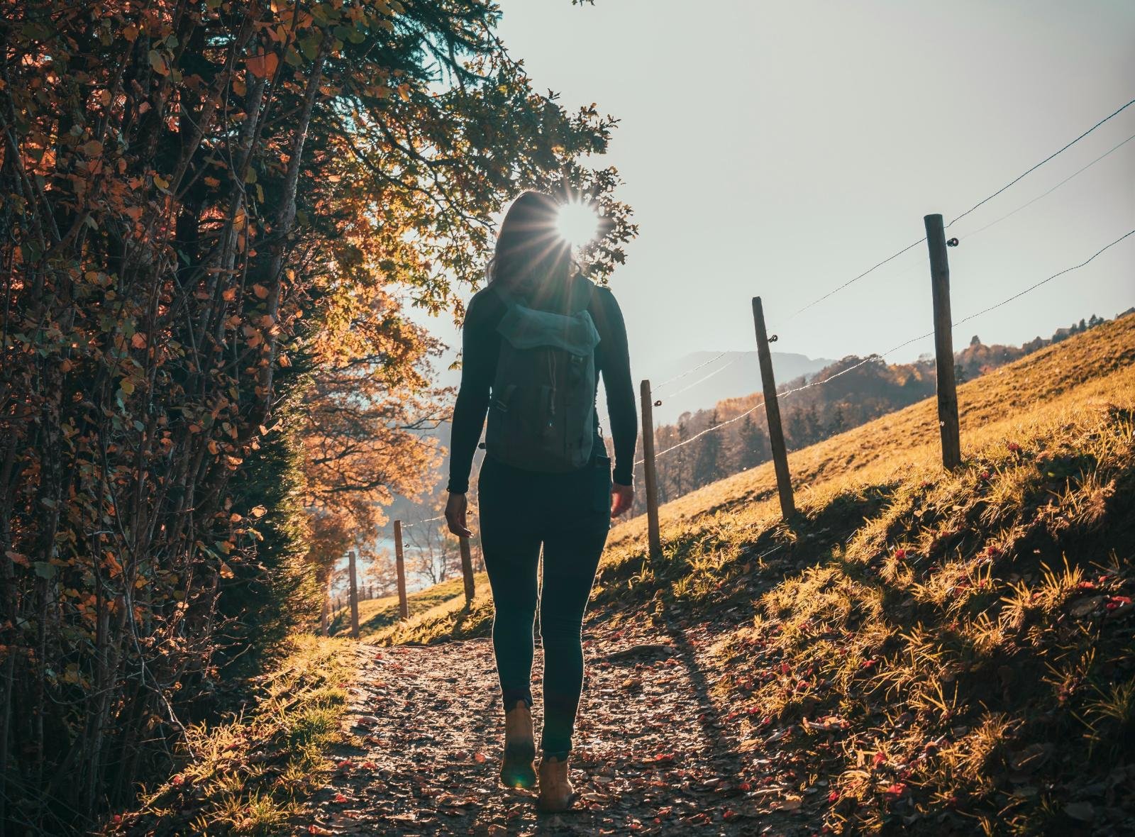 What a Wasp Sting Taught Me About Nervous System Safety