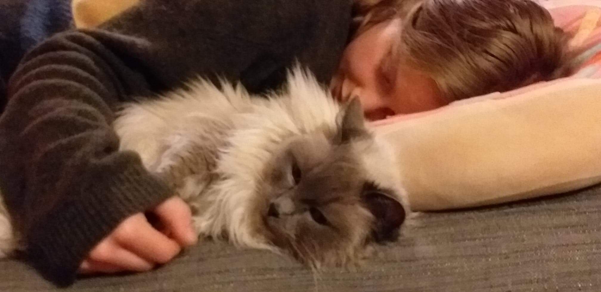 A teenager becomes bedbound with ME/CFS