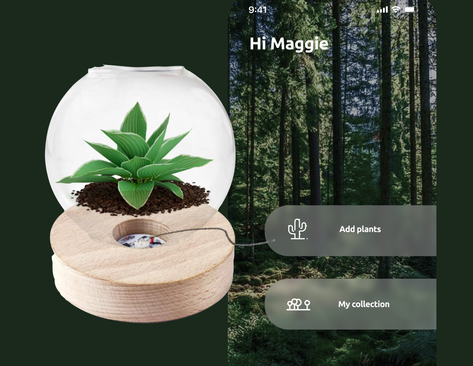 Florascence Thumbnail.png