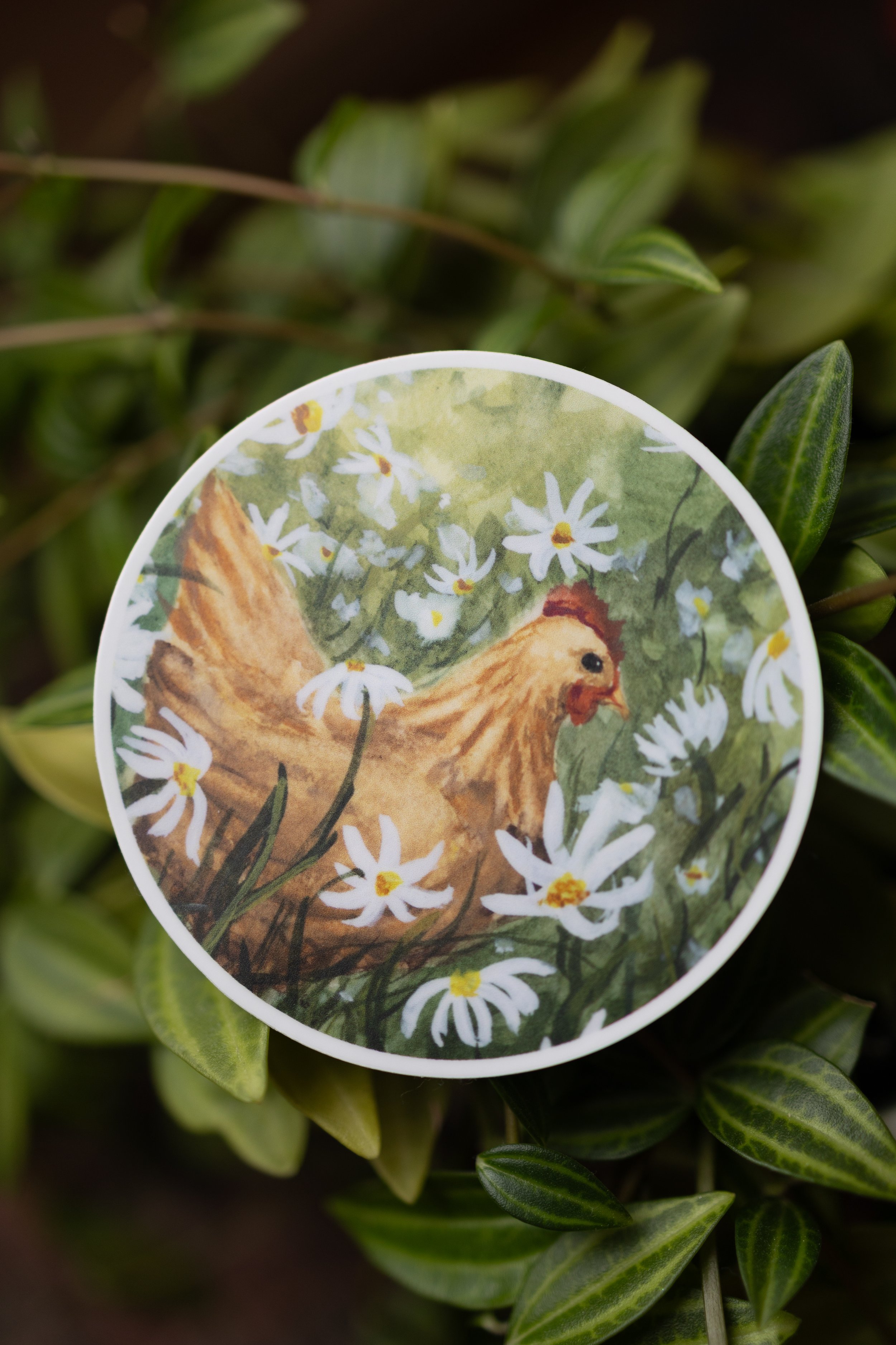 Sticker - Chicken
