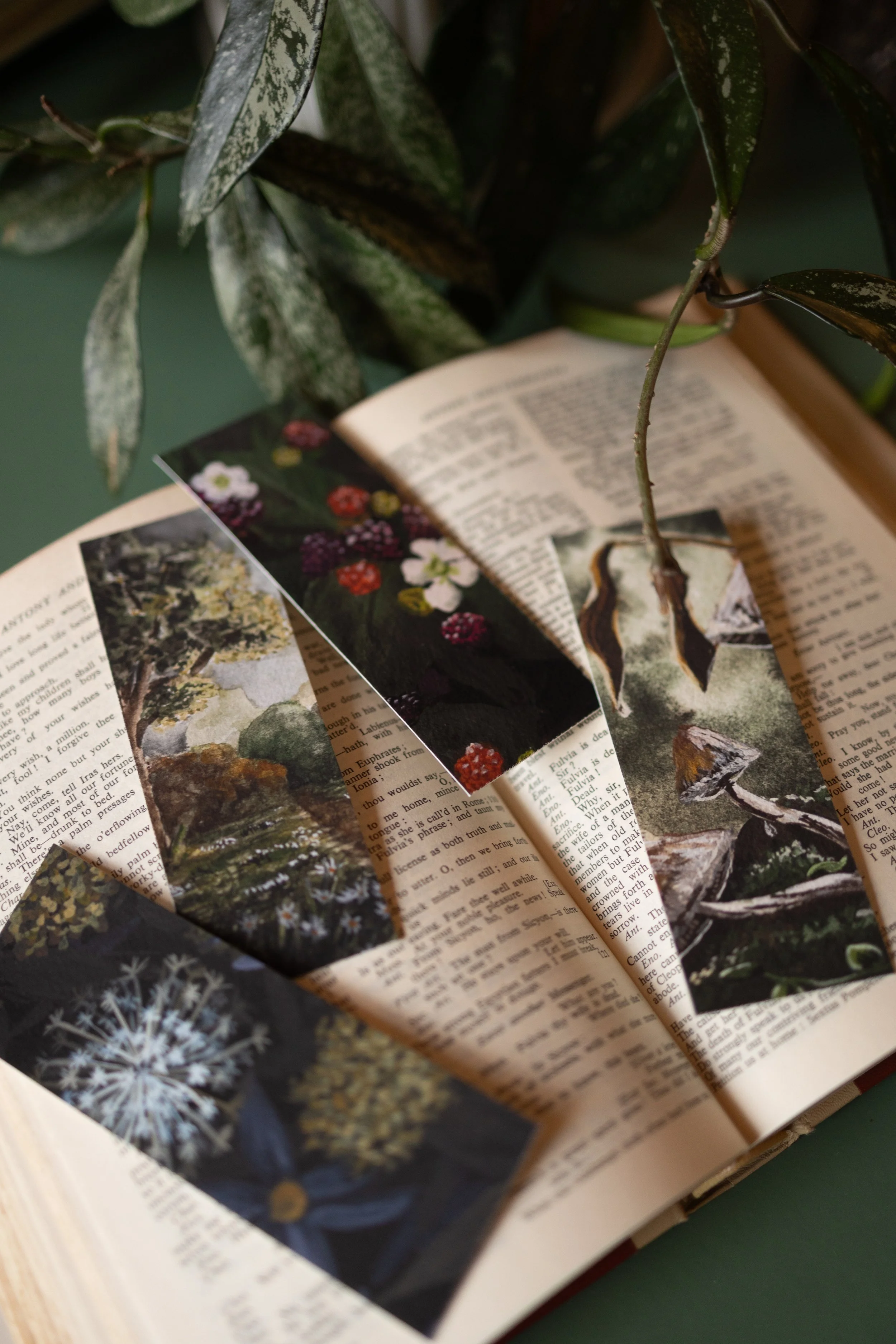 Bookmarks - Ready to ship