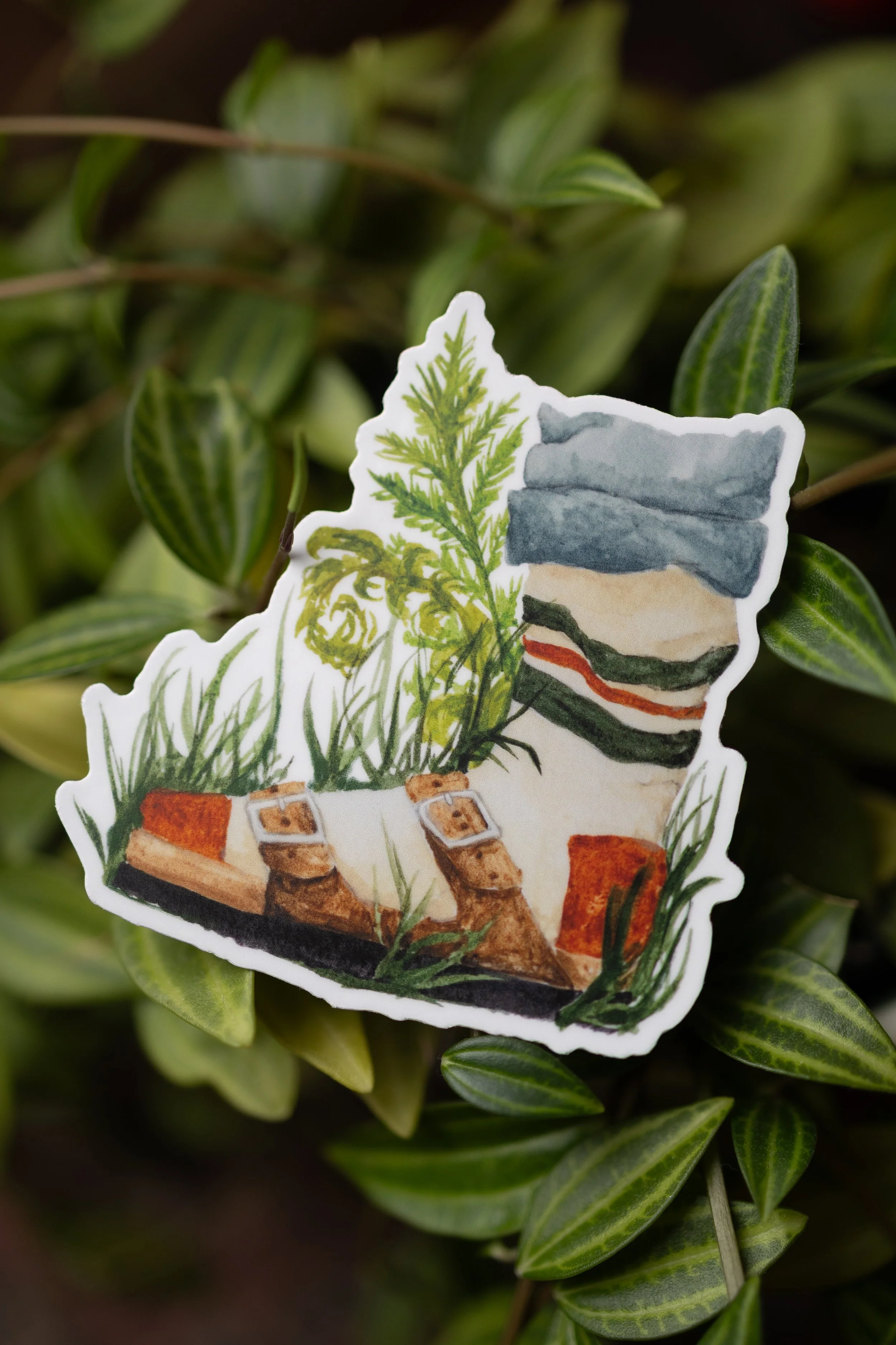 Sticker - Birkenstock