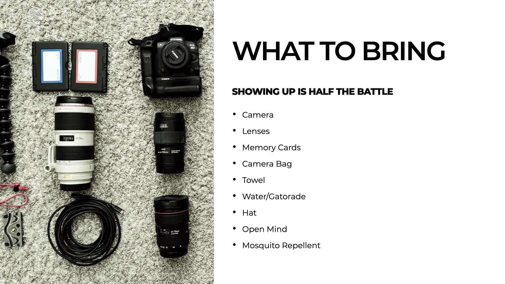 JANUARY 25 2026 PHOTO WALK.005.jpeg