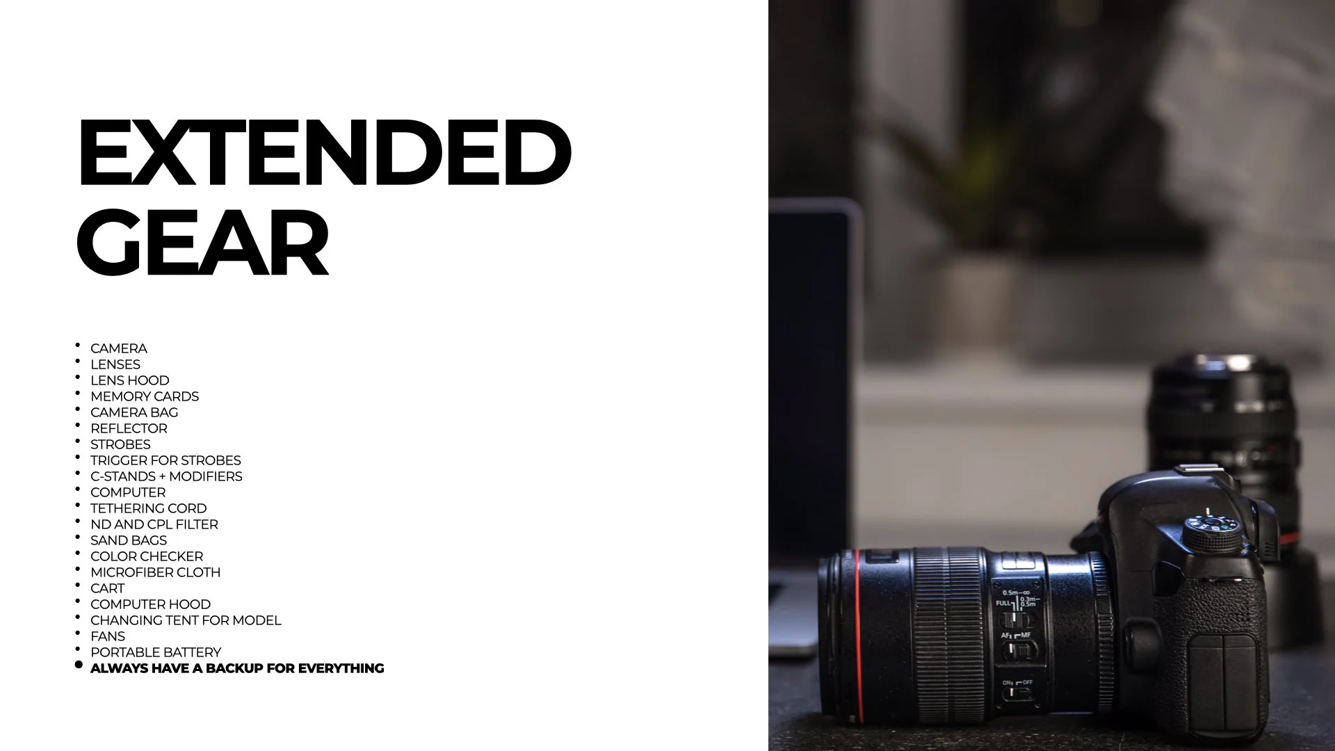 JANUARY 25 2026 PHOTO WALK.016.jpeg