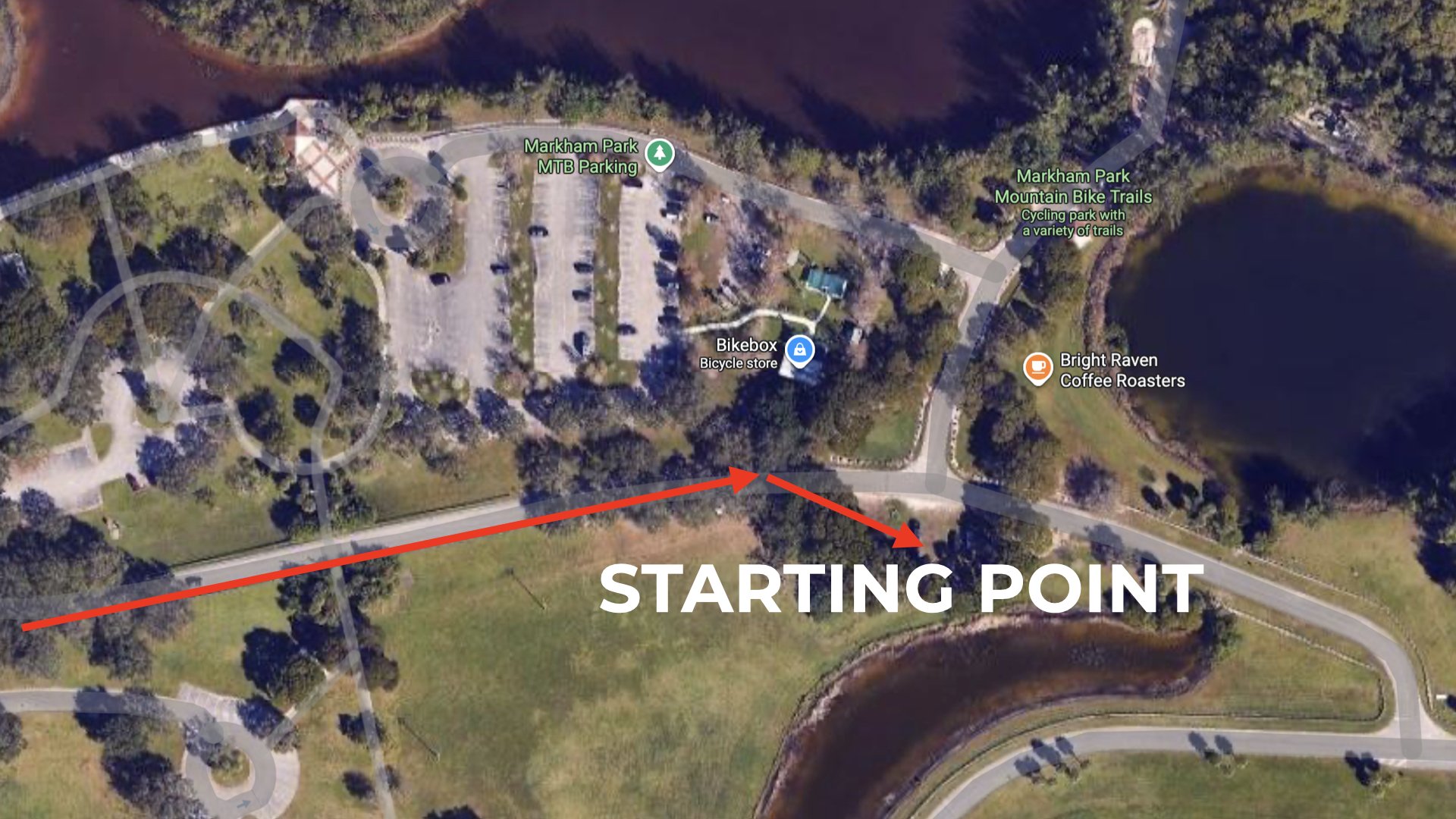 JANUARY 25 2026 PHOTO WALK.009.jpeg