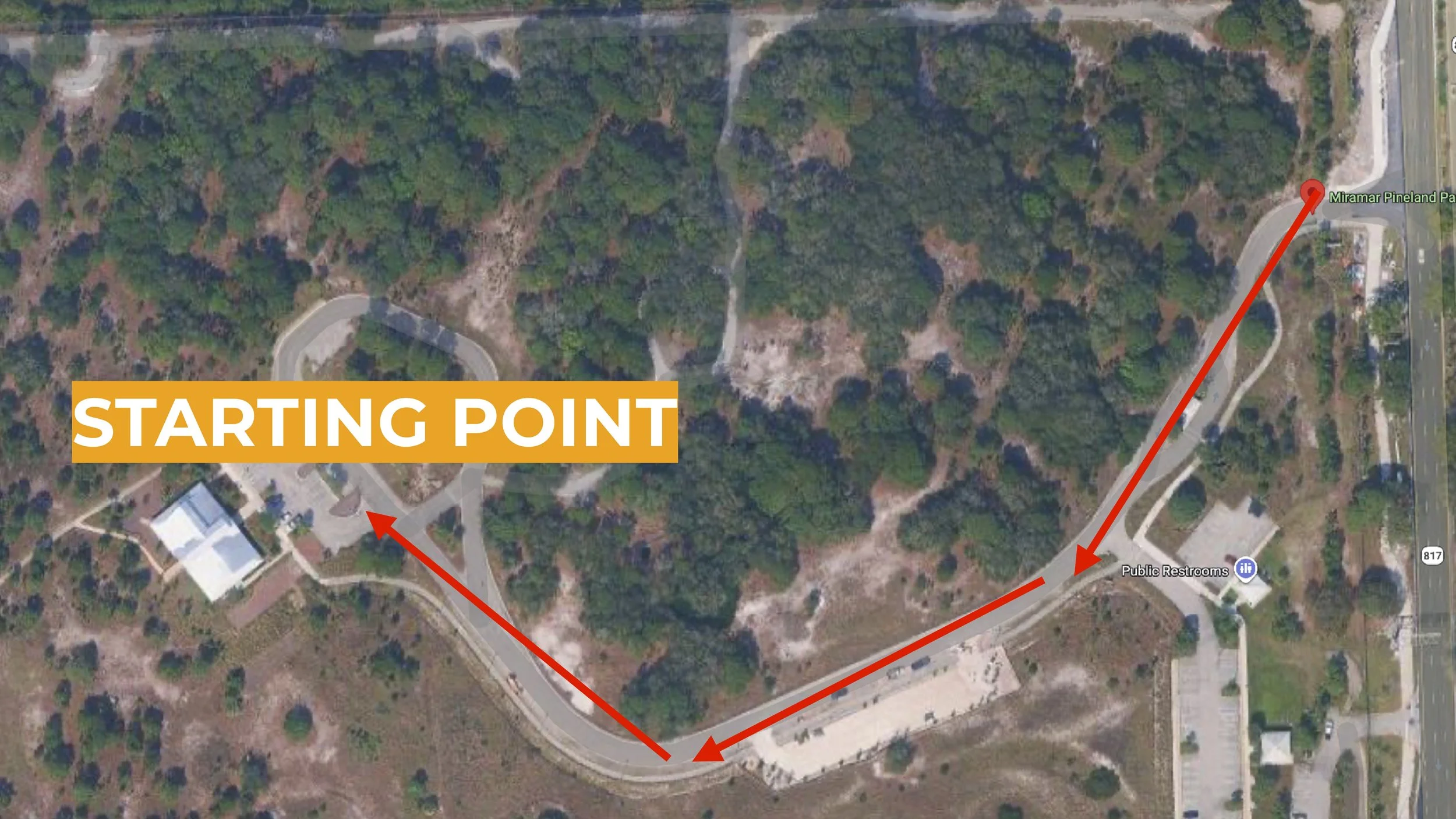 Feb 22nd 2026 PHOTO WALK2.jpg