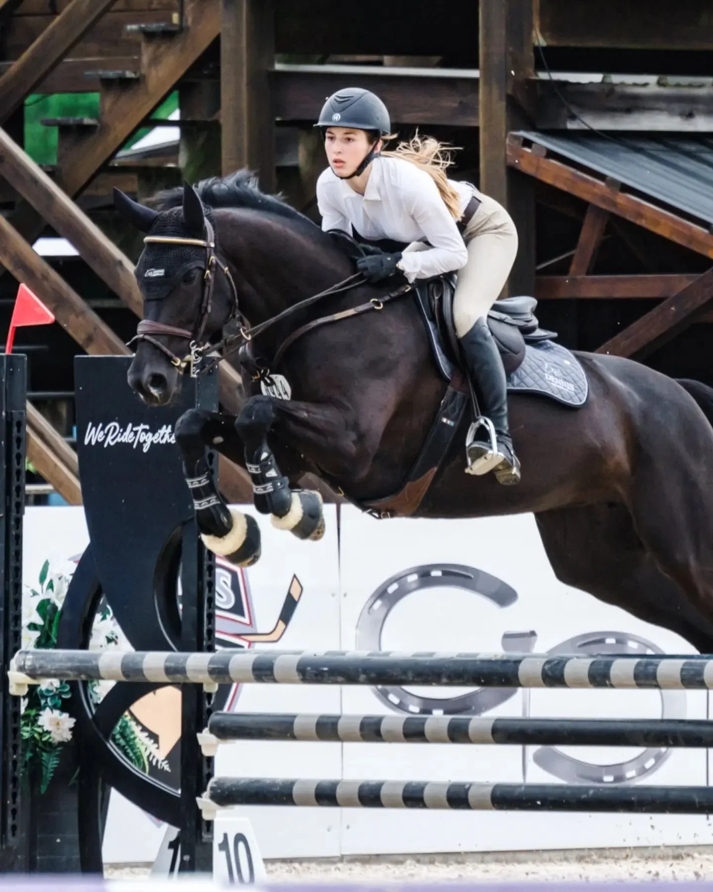 New addition High Level 8 (2017 Hickstead White x Stalypso x Grandeur) had some excellent rounds week 1 in the 0.90m with @islajjm.eq of @maplemeadowsequestrian 🦄 We are so proud of this pair and their progress so far. 

Thank you @miller_sara_ @dan