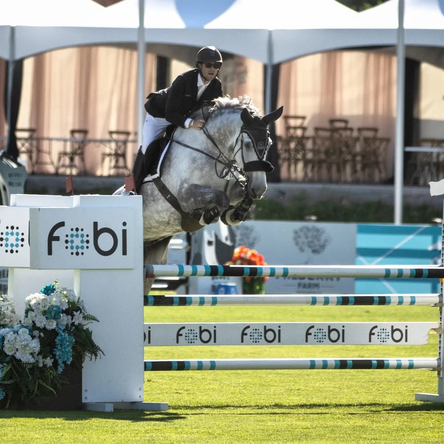 Minardi ZW (2017 Douglas x Indoctro x Corland) jumped spectacularly across both weeks 🤍🦄 So much talent and heart in this one. 
Special thanks also to @kayliemartinoff for doing a wonderful job with him week 1 while I wasn't able to ride. 

#unicor