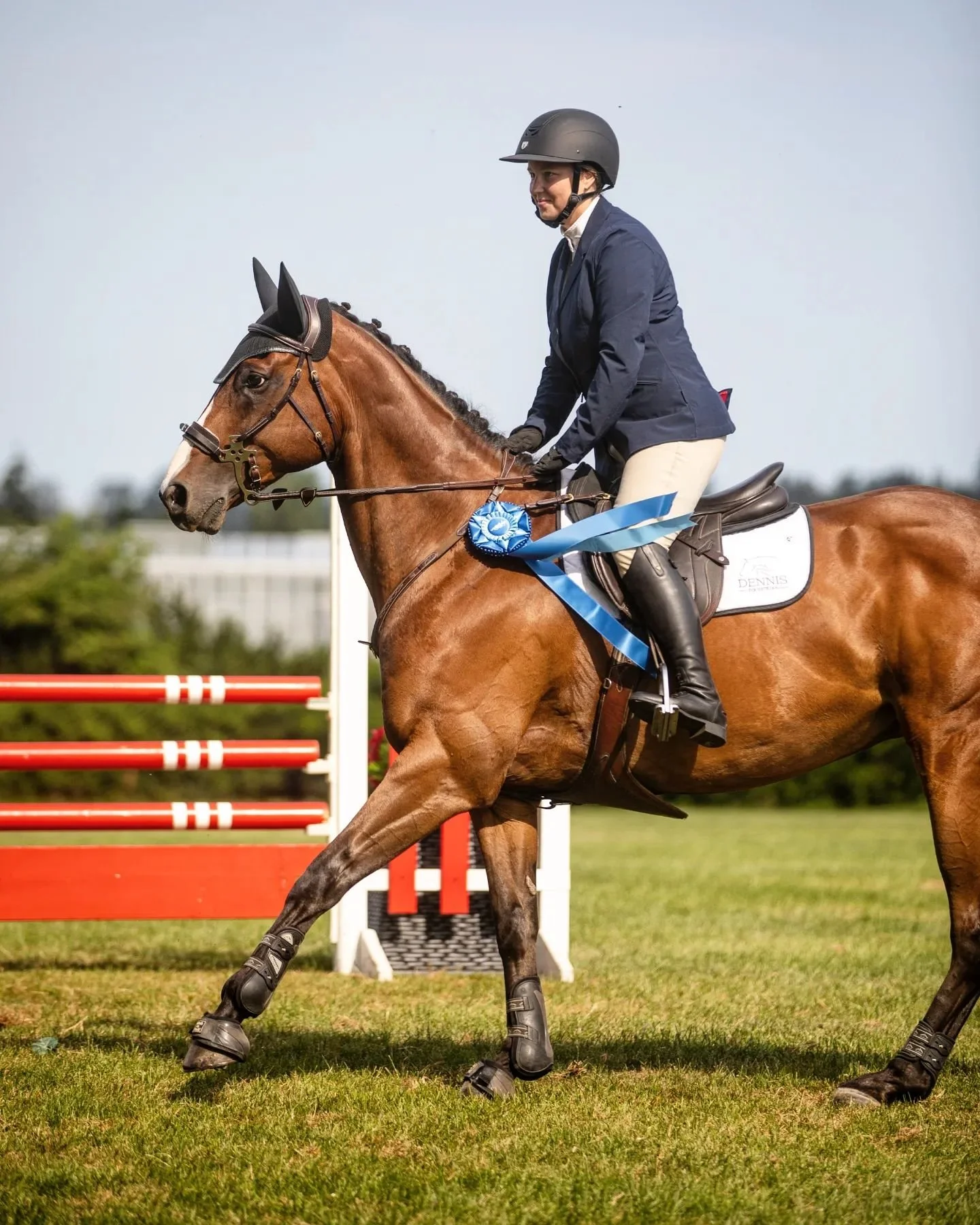Kim &amp; Day Raider had a super week on the grass at Milner 🦄 Together they picked up ribbons in the 0.75m as well as 6th in the @newstride TB Challenge. 

#ottb #horseshow #showjumping #milnerdowns #hunterjumper #thoroughbred
