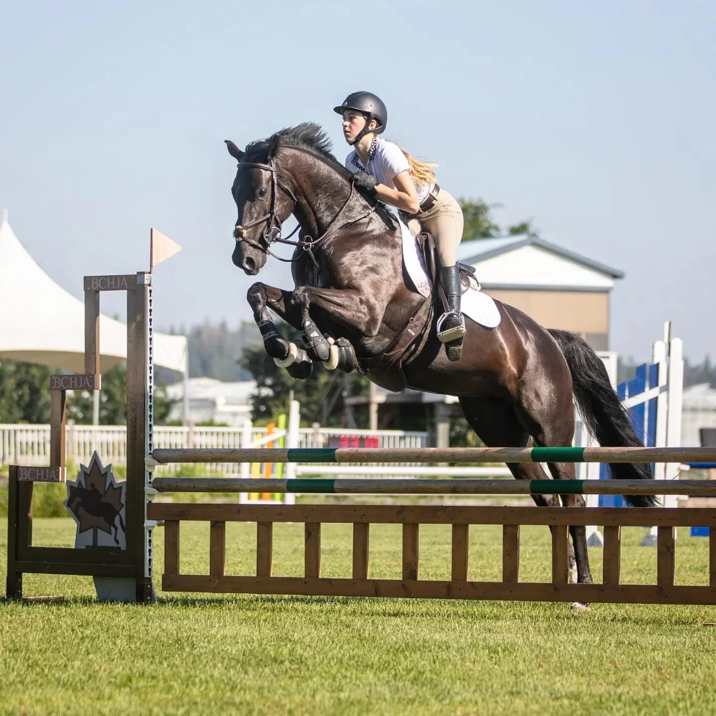 Isla &amp; High Level 8 had their best rounds yet and finished with a 3rd in the 0.90m. Thank you again to Isla &amp; the team at @maplemeadowsequestrian. 🖤🦄 Week 2 🔜

#hicksteadwhite #hunterjumper #showjumping #milnerdowns #stalypso #oldenburgspr