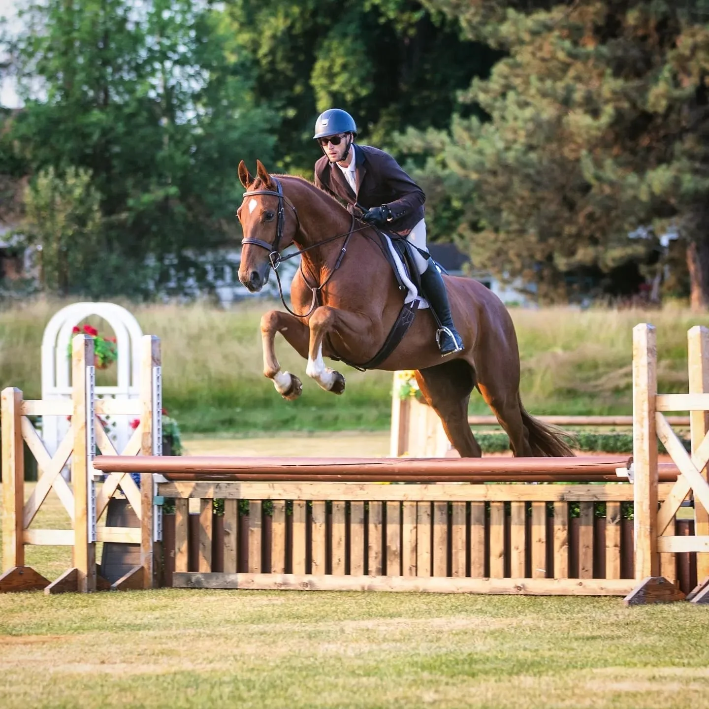 Theodore jumped beautifully on the grass this week picking up ribbons over fences and 2nd in his undersaddle 🧡🍊 We are so excited for the continued development of this star. 
Thank you @maplemeadowsequestrian for the help ⭐

#hunterprospect #hunter