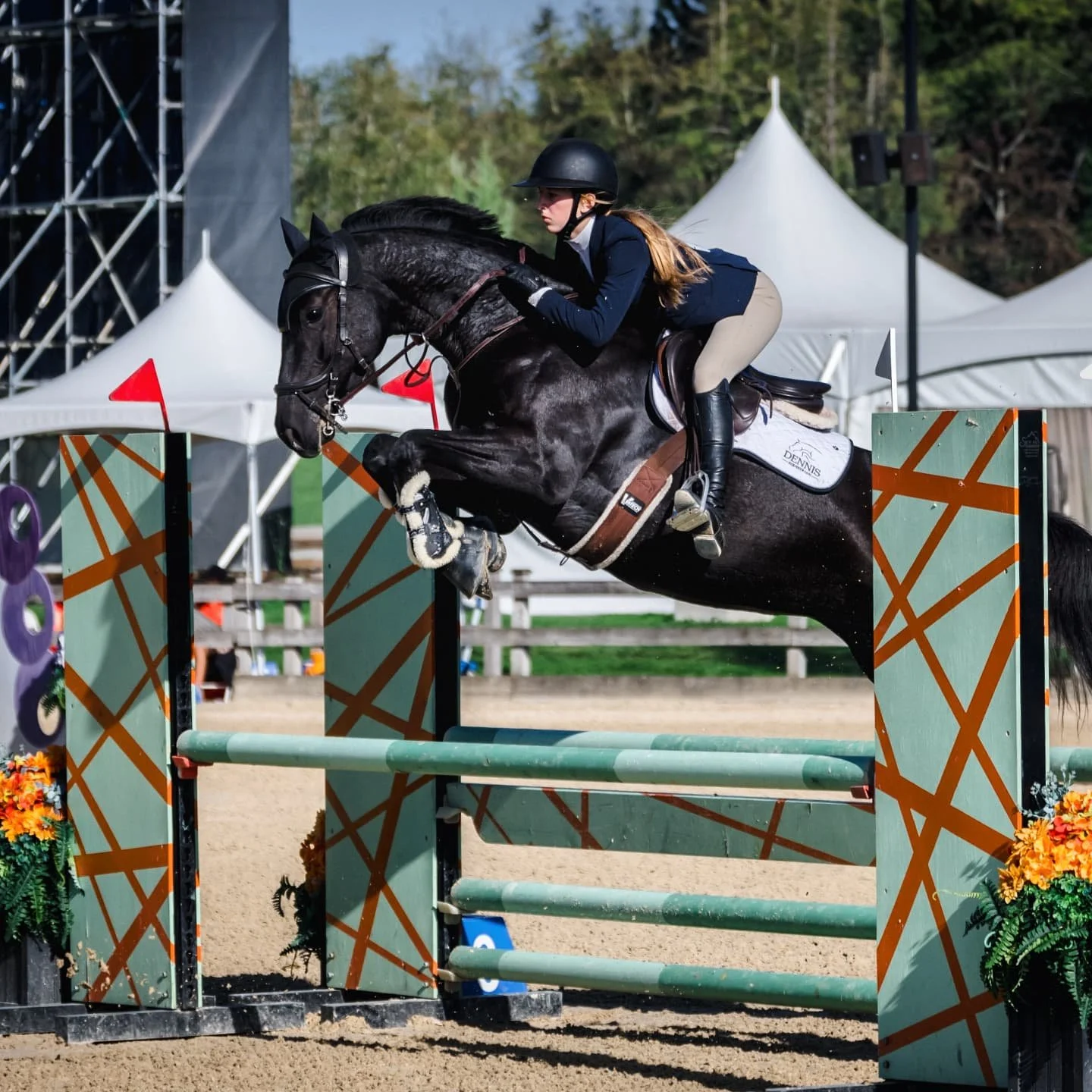 Congratulations to the Fraser family on their new partnership with the very special mare, High Level 8! (Hickstead White x Stalypso) 🦄 We know you will make a super team and wish great success for the years to come. 
Special thanks to the entire tea