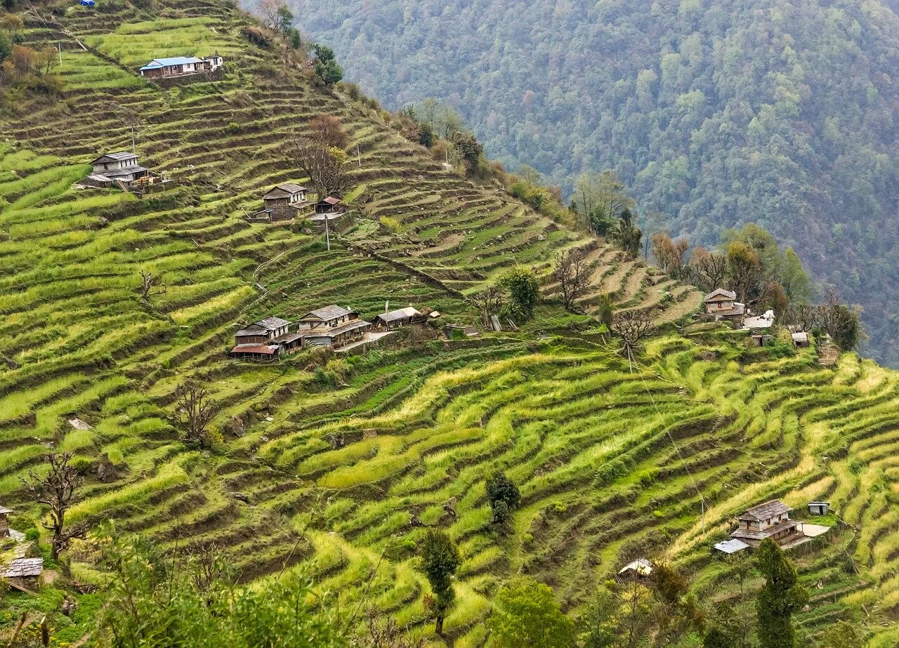 landscape-4738284_1280.jpg