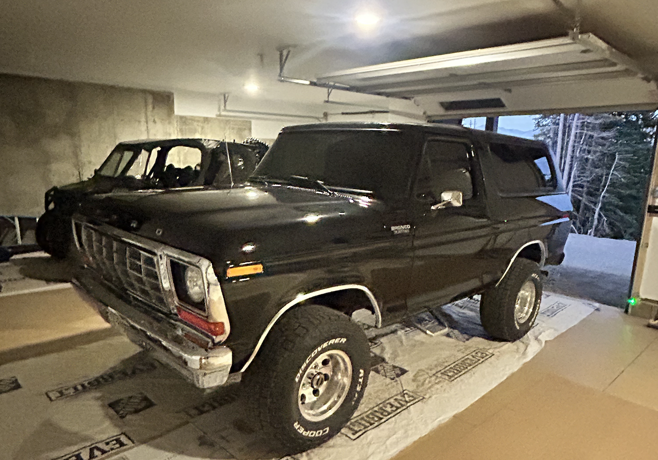 1978.Coyote.10r80.Beast.4.png