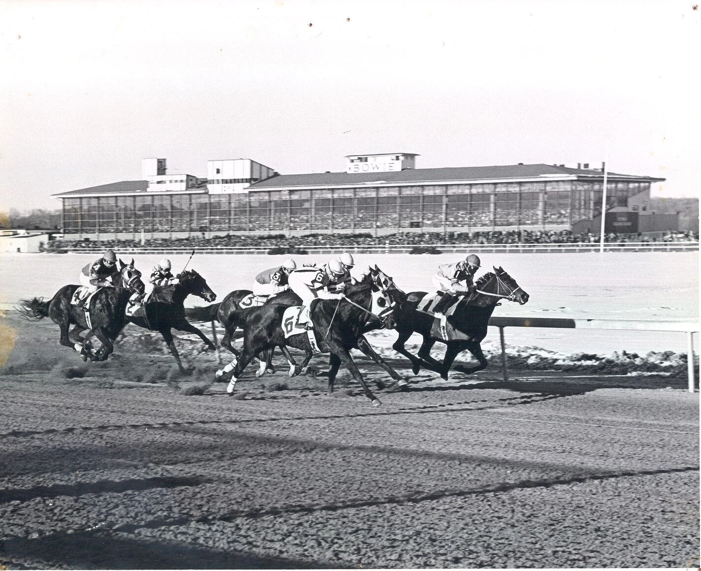 Belair Stable Museum — Christopher Vitek