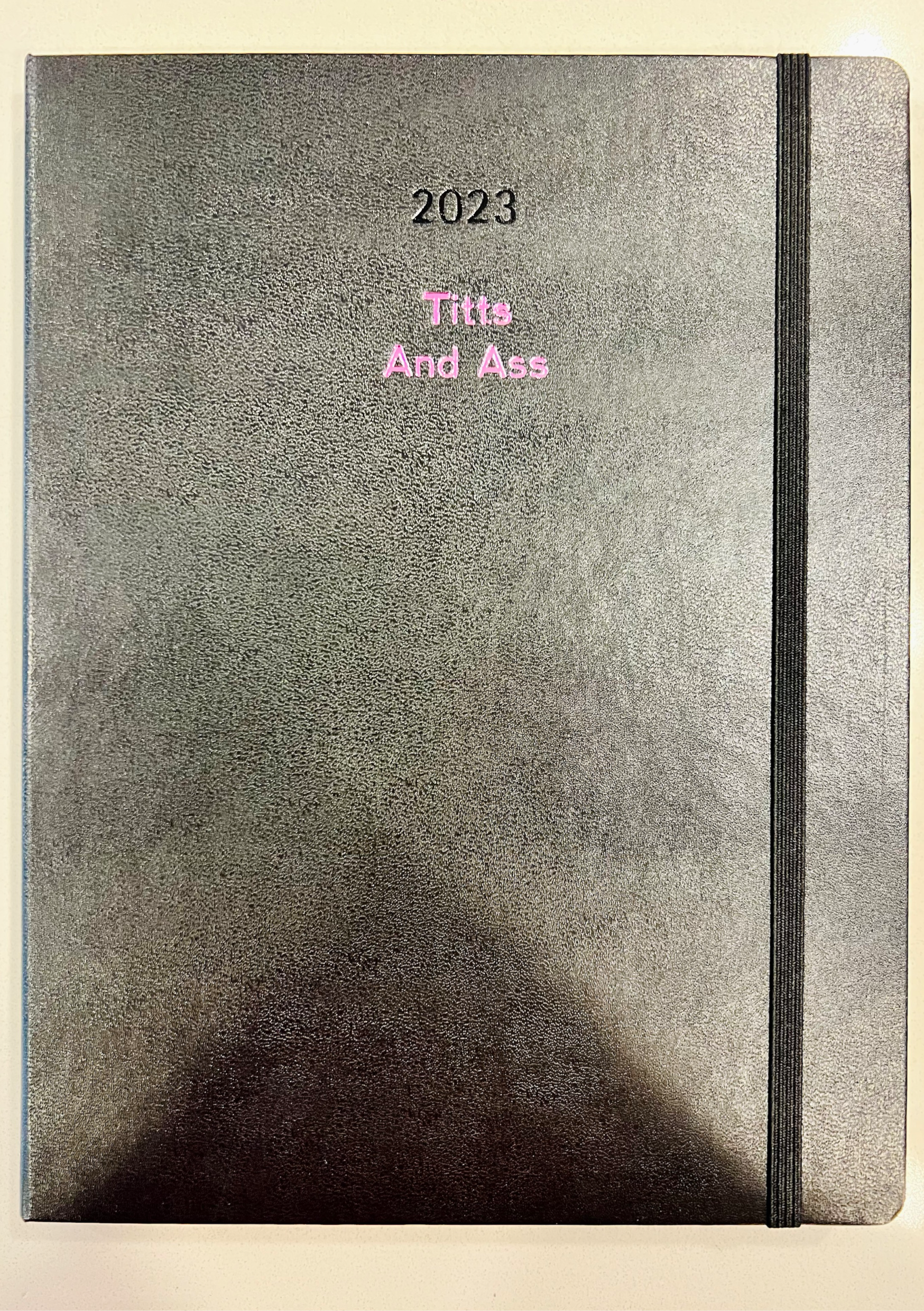 Shine Pink Planner 2023