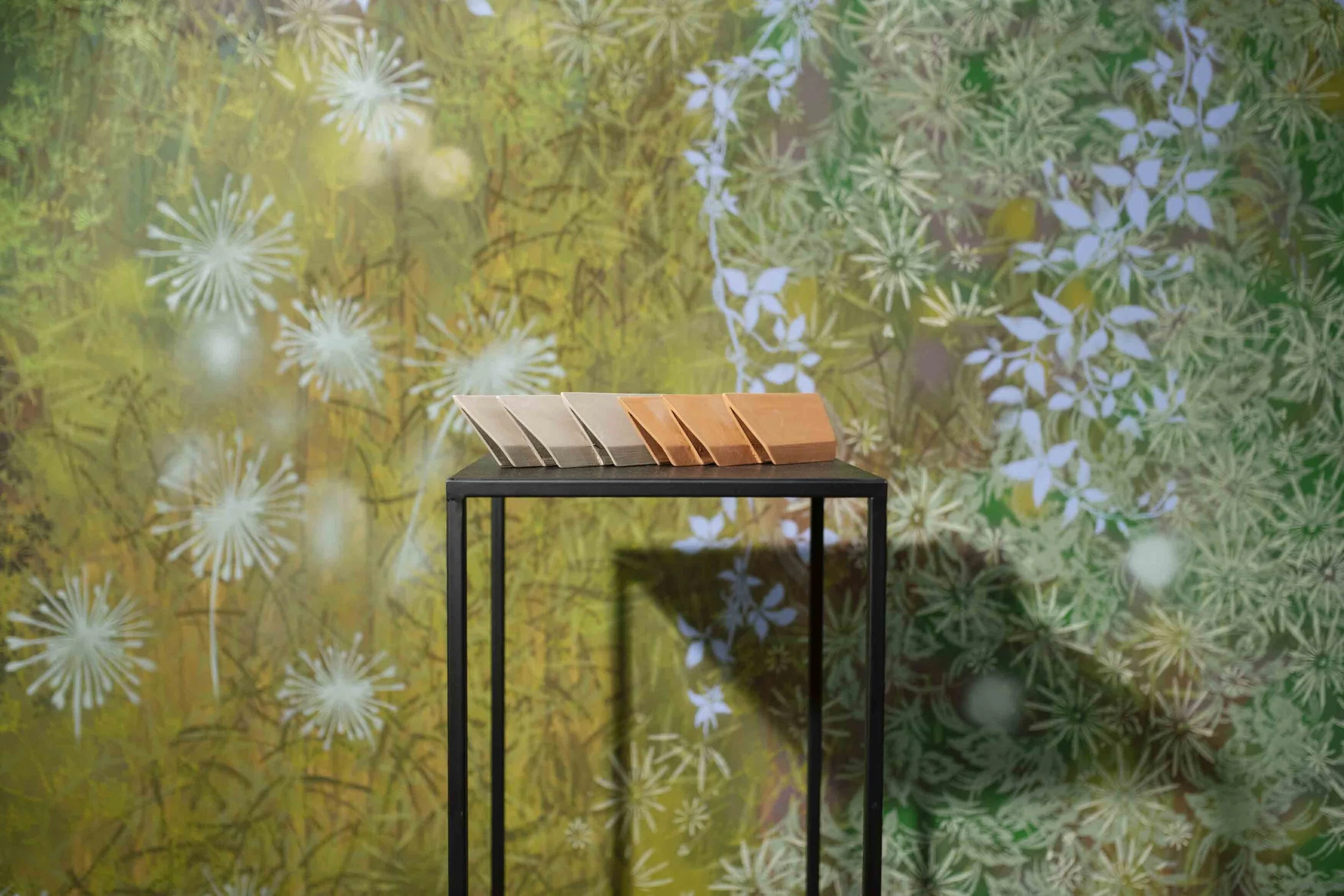 Foto @matthias_nemmert