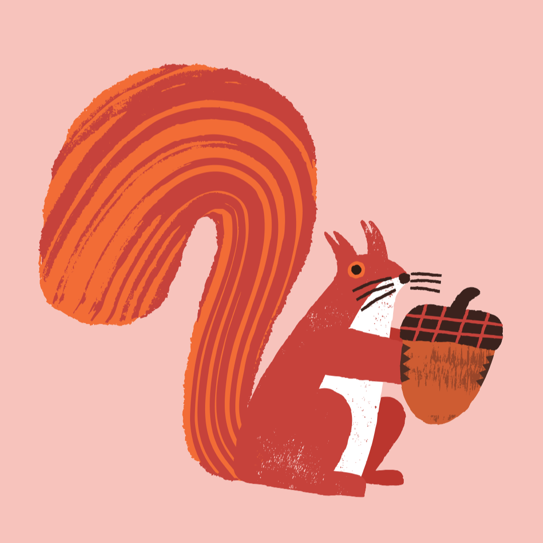 IPBES+REEL-01.png