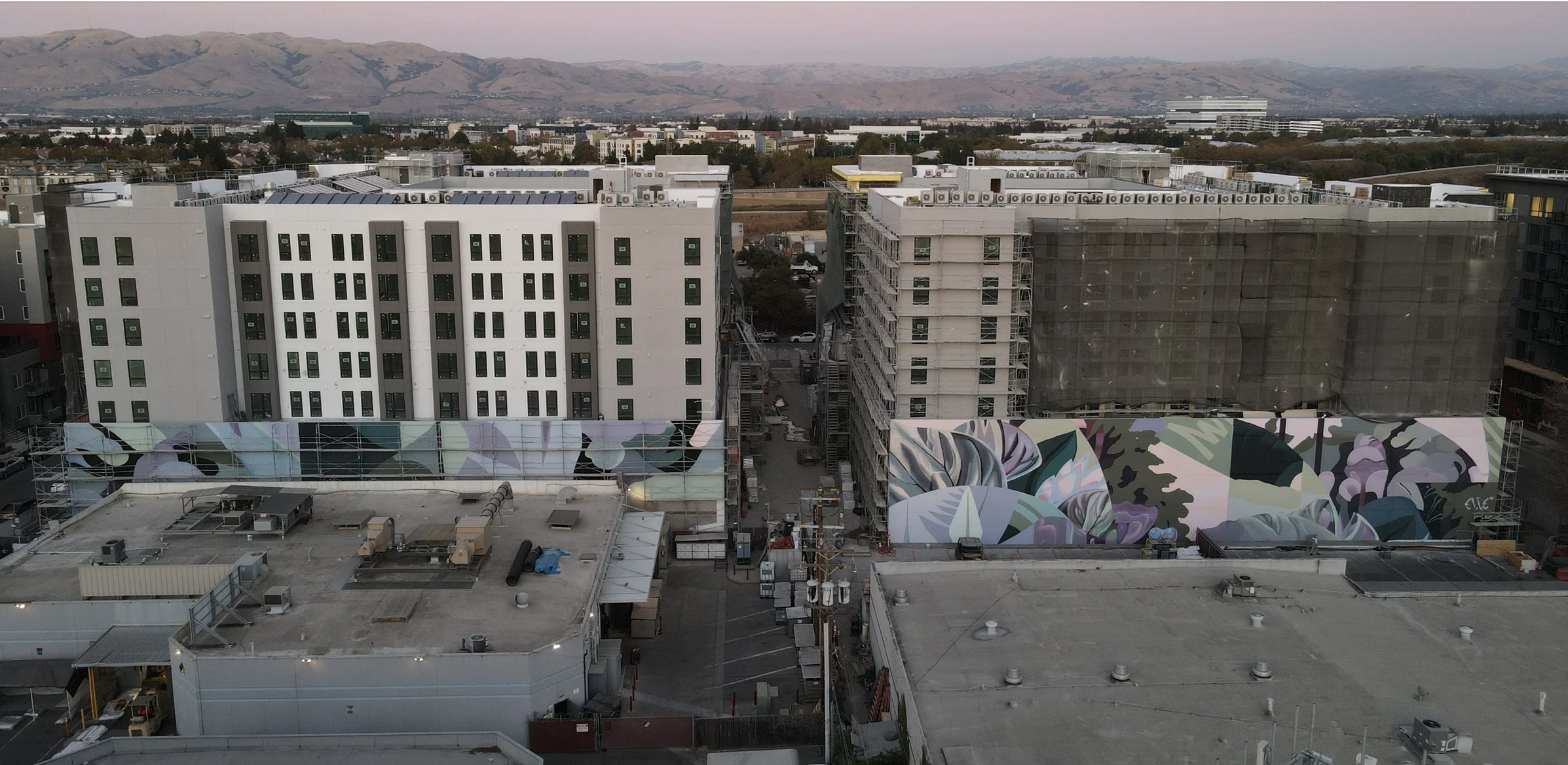 SAN JOSE, CA. Where the Wild Things Live, Apartment Complex, 2024