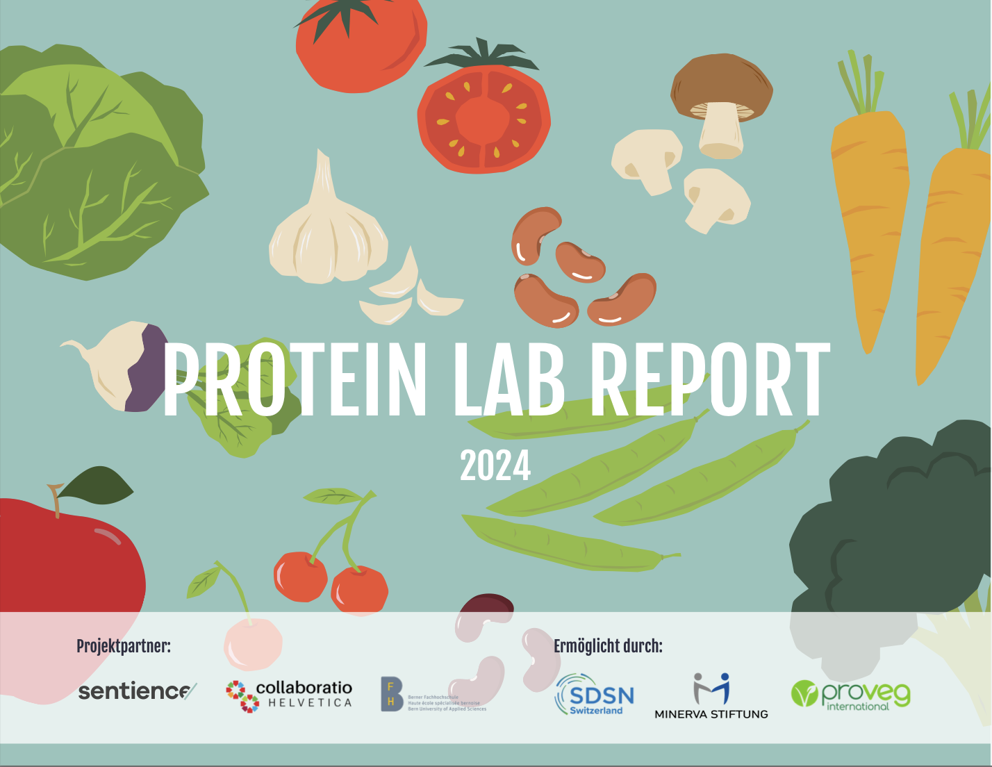 Protein Lab Report