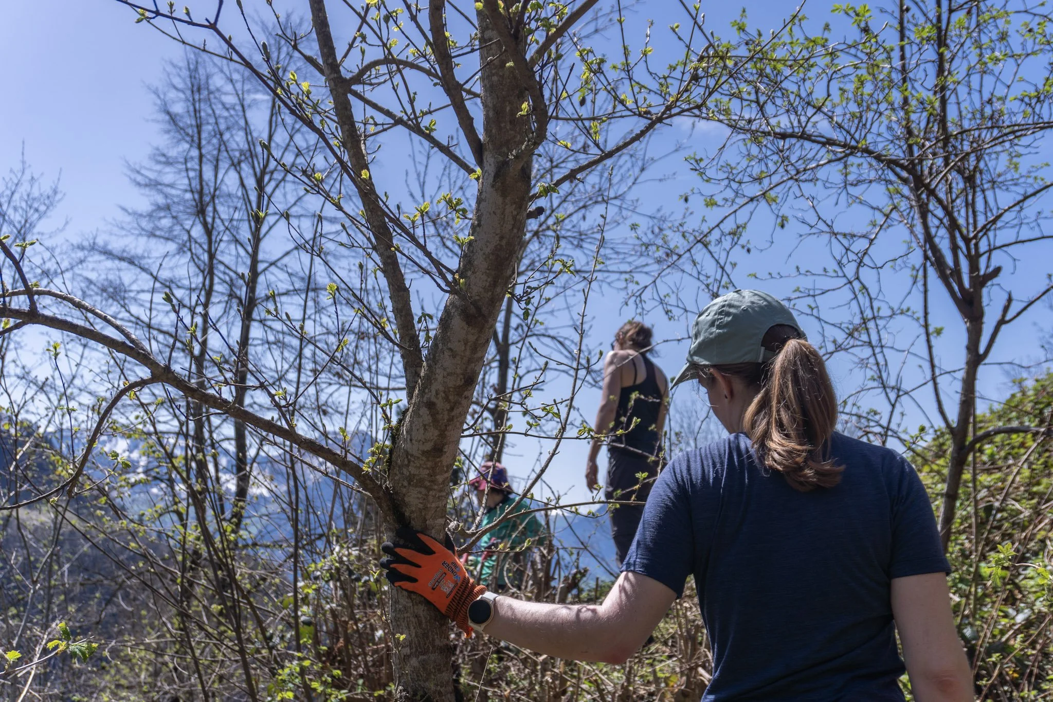 260411-WWF-Natureinsatz-23.jpg
