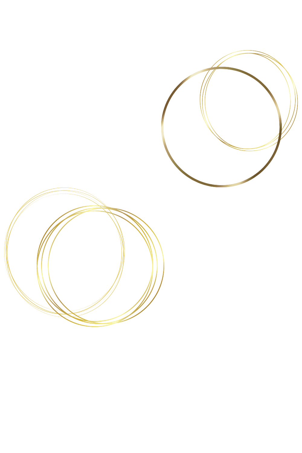 SDIDG (9).png
