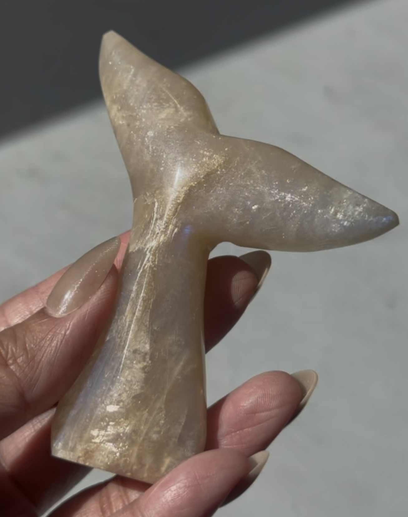 Screenshot 2026-04-07 at 6.11.45 PM.png