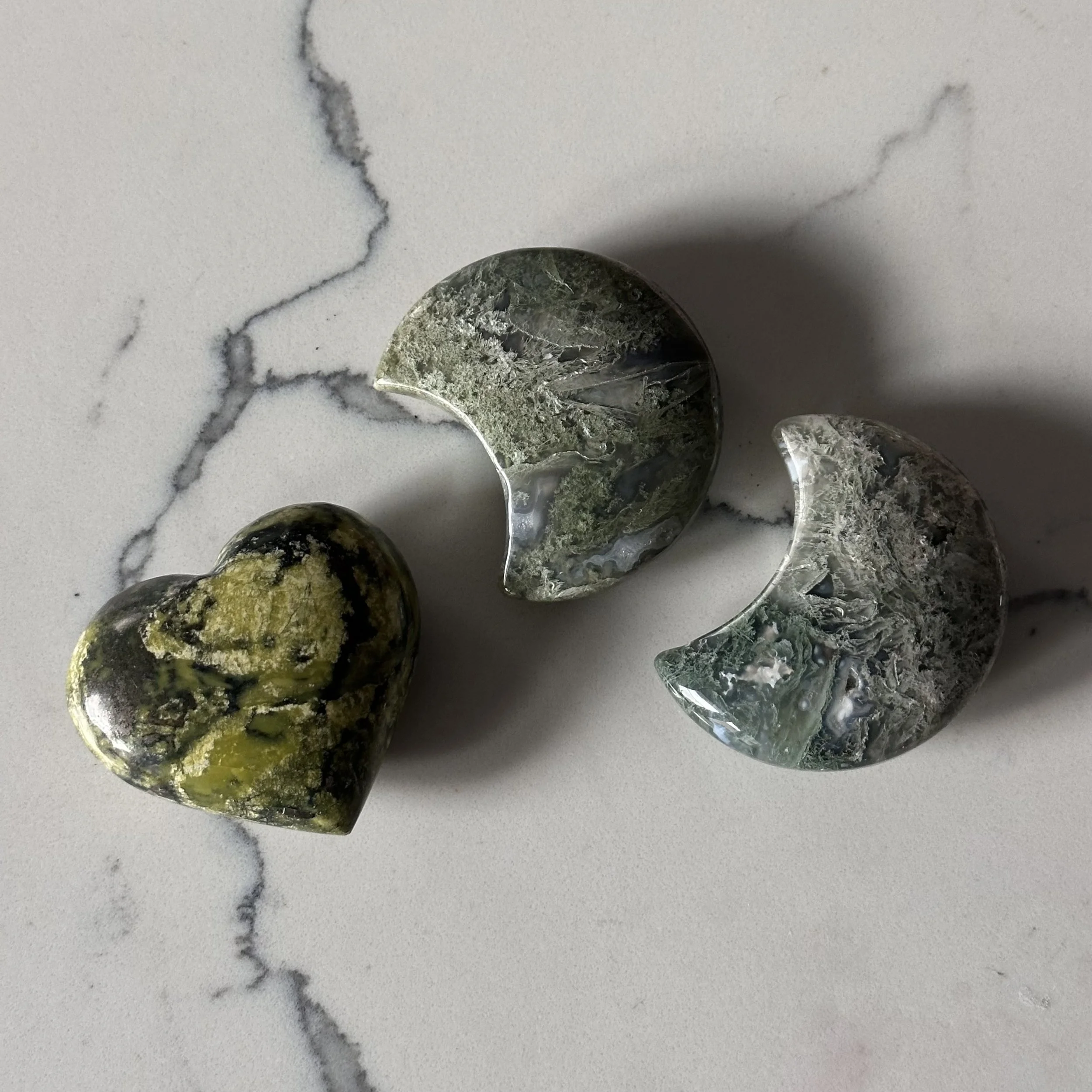 adventurousbutterfly