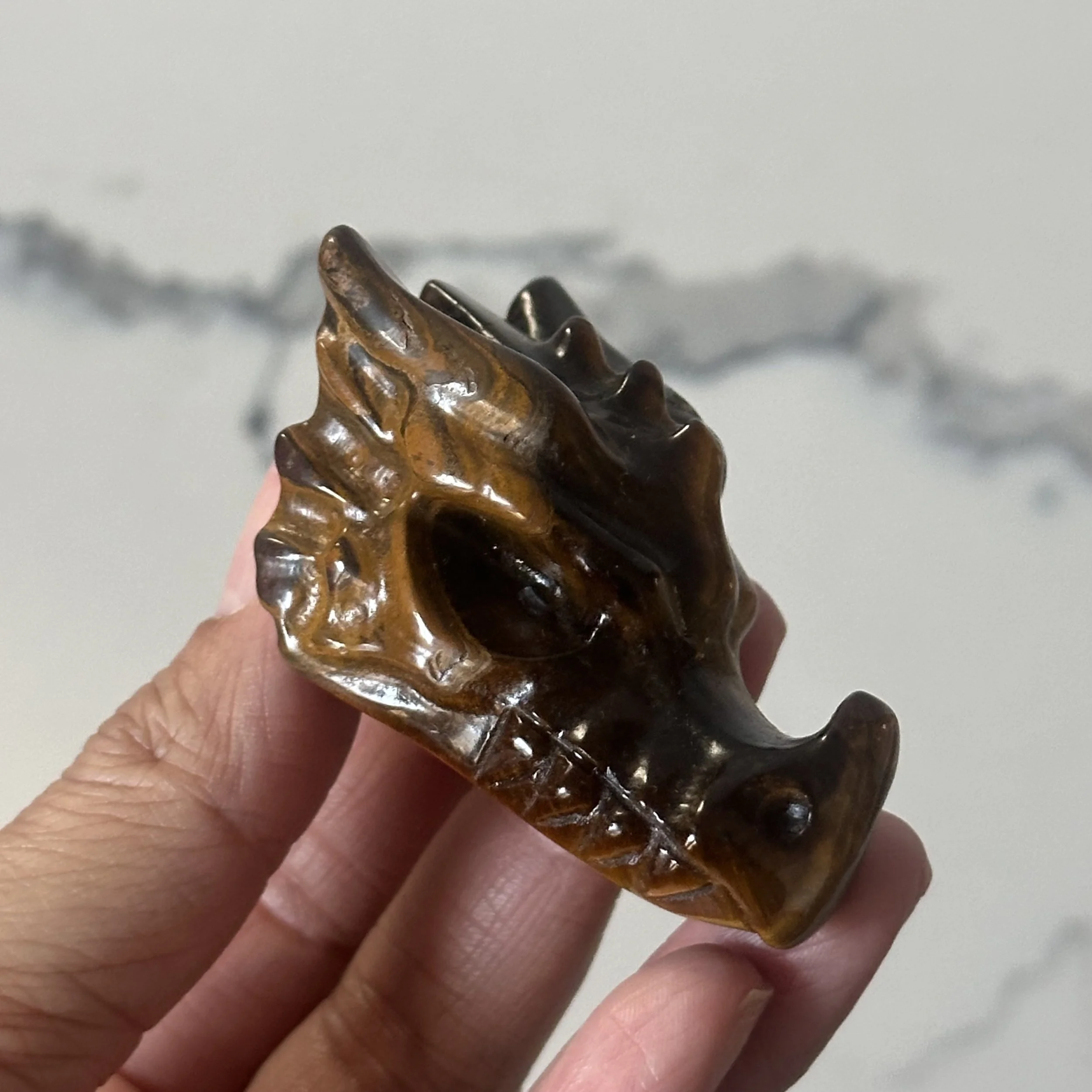 Tiger's Eye Dragon Head