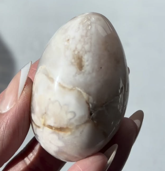 Screenshot 2026-04-11 at 12.36.12 AM.png