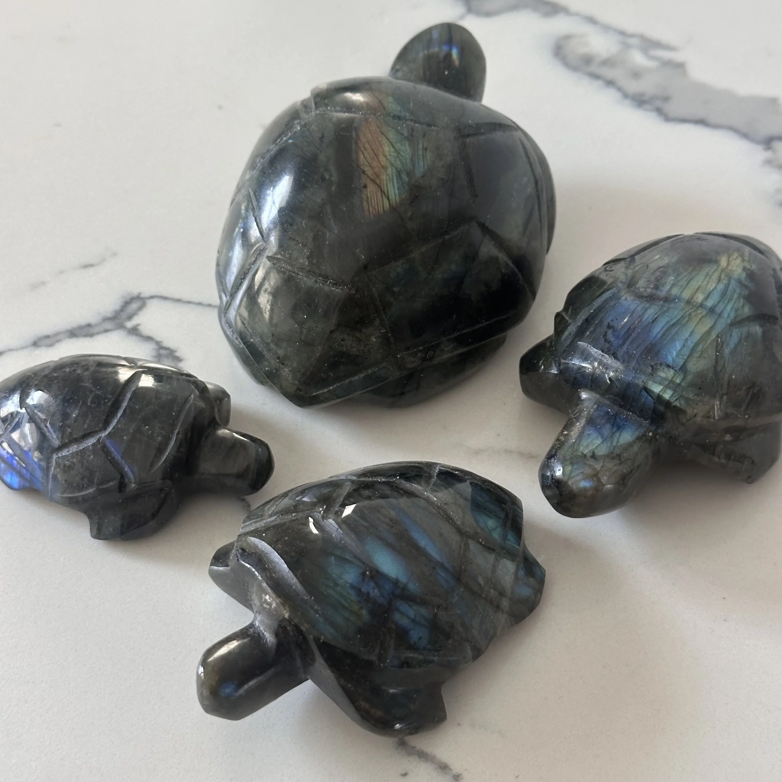 Labradorite Sea Turtle