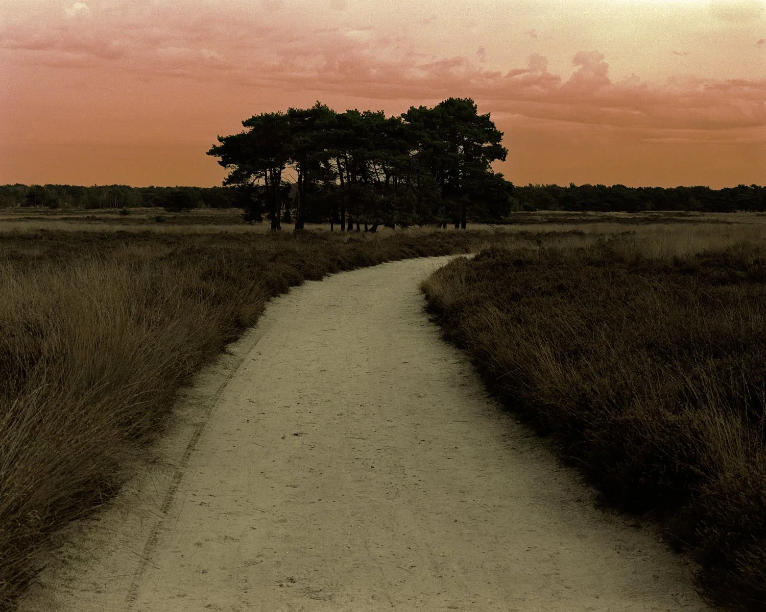 Eyes open, unknown,
Orange haze from distant blast,
Where am I? Alone.