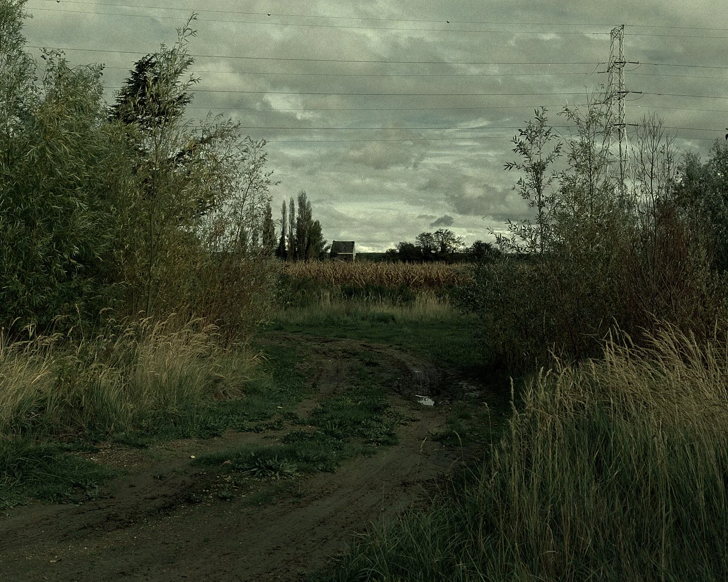 Lone house up ahead,
Home? The mind whispers, unsure.