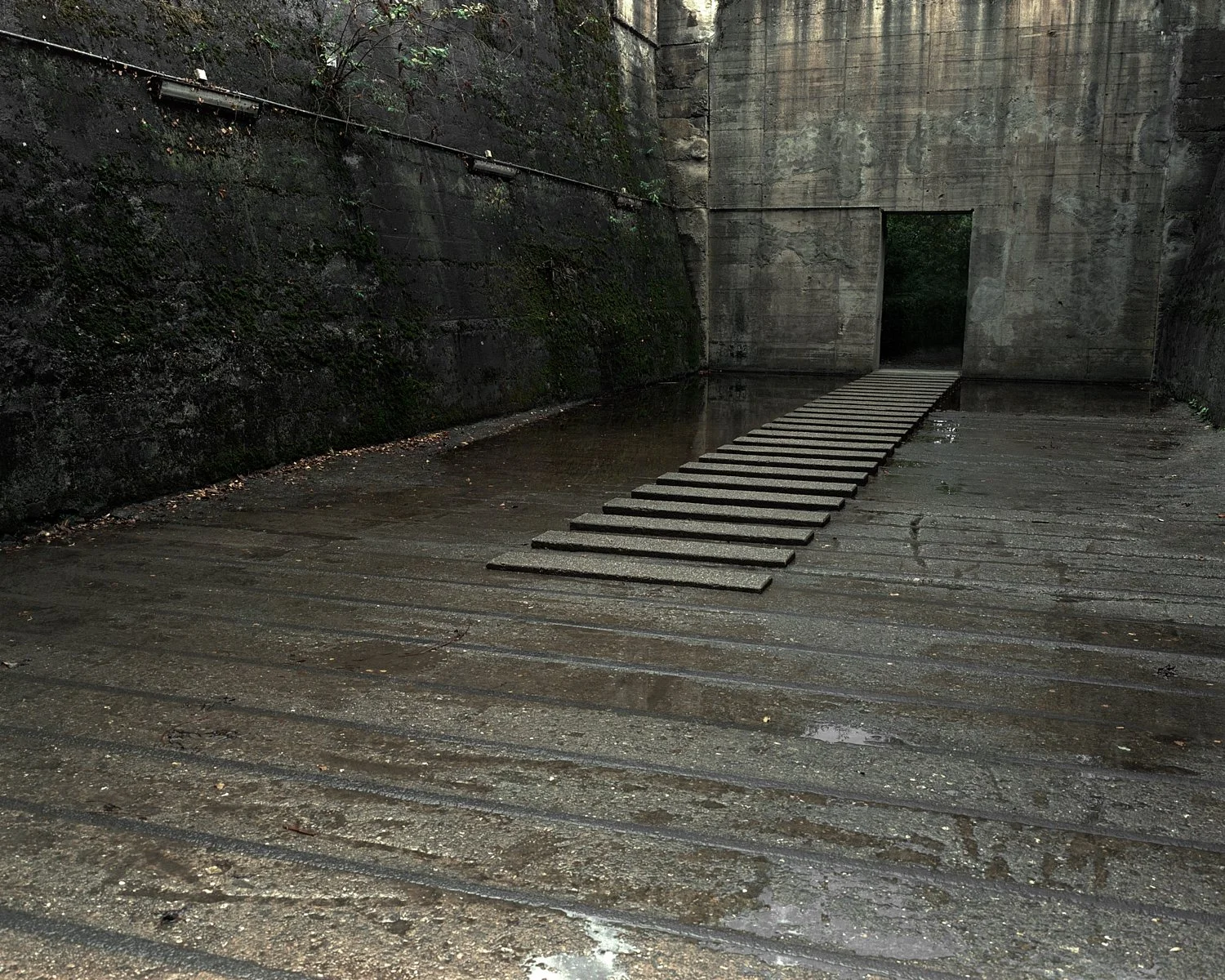 Steps aim for growth,
Yet ascent leads to nowhere,
Keep going.