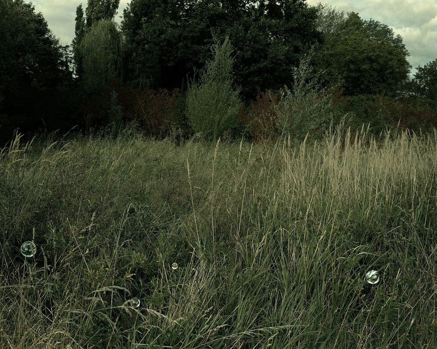 Orbs in tall grass,
Mind folds into something new,
I feel fine, I think.
