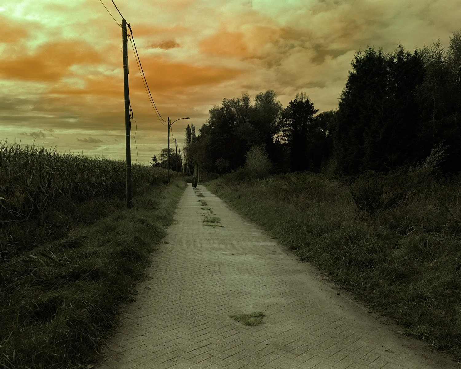 Lost, tension ignites,
Anger swells, clouds closing in,
Who are you?!