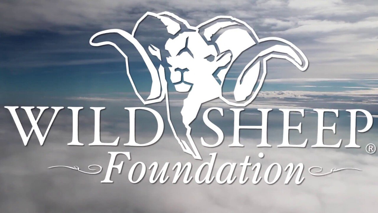 Wild Sheep Foundation.jpg